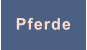 Pferde